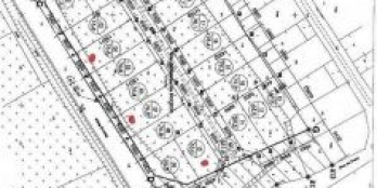 Bán đất đấu giá Thọ Am, Liên Ninh.