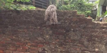 CC bán đất Hữu Lê, Hữu Hòa 59,4 m2 mặt tiền 3,8 m