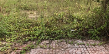 Chủ kẹt bán lỗ nền 165m2/890tr ngay liền kề MT quốc lộ 50 Cần Đước