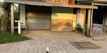 Do Covid Cần Sang Nhượng. (Mua Đất Tặng Nhà)