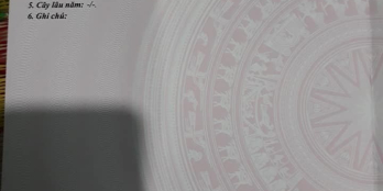 Đường 3m.. cụt.. quảng Phú, tp quảng ngãi