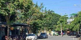 Hàng nóng hổi Chỉ 1 lô duy nhất quá đẹp.