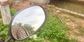 Trung tâm thành Phố, hẻm PHAN ĐÌNH PHÙNG- Cách NGỌC BẢO VIÊN 50m