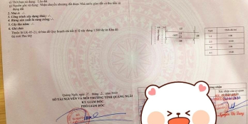 Đất mặt tiền đường 12m. Diện tích 5*25.