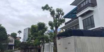 Chỉ với 1,4 tỷ sở hũu ngay lô đất giữa trung tâm TP Thái Nguyên