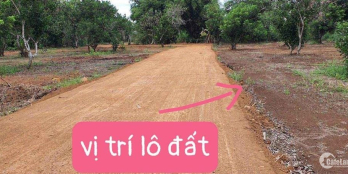 Bung lua 30 nên đất rẻ khu dân cư sông thao trảng bom Đồng nai.