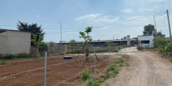 Bán hơn 1 sào 1 hưng thịnh Đường xe hơi