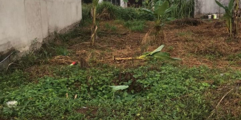 Anh tôi cần tiền bán gấp lô đất như hình