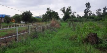 Chính chủ cần bán đất nghĩa lâm gần trường nghĩa lâm