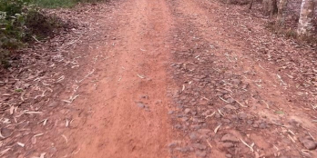 2 mẫu đất xoài đang thu hoạch Đất Xuân Hưng 1xx/1 xào