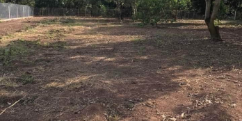 Cần bán GẤP 3 lô đấy 5x30m liền kề