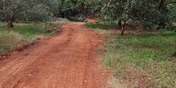 Chủ kẹt tiền cần bán nhanh trả nợ ngân hàng