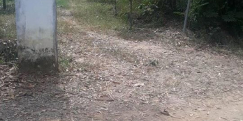 250TR/SÀO SUỐI CAO XUÂN LỘC CÁCH NHỰA XUÂN THÀNH XUÂN