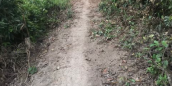 Bán nền thổ vườn 100m2 Thổ, 739m2 Vườn Gần Khu 135 Bến Lức