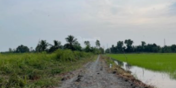 650tr / 1000mv đất vườn bình đức , bến lức