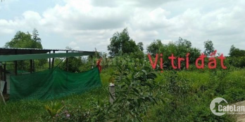 Đất vườn 746m2 duy nhất, Ấp 6, xã Thạnh Lợi, Bến Lức, Long An