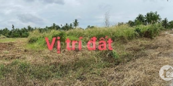 Cần bán 1 Lô Đất vườn chữ L, Ấp 9, xã Lương Hòa, Bến Lức, Long An