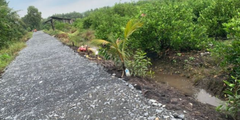 Đất vườn 1000mv chủ ngộp thở cần ra gấp