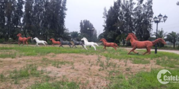 KHU NHÀ VƯỜN NẰM NGAY TRUNG TÂM THỊ TRẤN BẾN LỨC