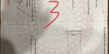 510m2 Đất Giá Chỉ 380 triệu đường thể hiện 3m Trên Sổ Bình Đức Bến Lức Long An