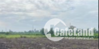 Đất mặt tiền kinh được lên thô xã bình Đức điện nước trước đầy đủ