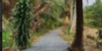 Đất chính chủ Khu dân cư Phúc Long mặt tiền Đường số 2 giá 1,5 tỷ diện tích 100m