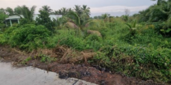 Kẹt tiền bán gấp lô Đất thổ cư MT Lộ đan ( MT Kênh ) Ba Vồn Lớn Thạnh Hòa Bến Lứ