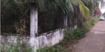 Chủ kẹt tiền bán 2900m2 đất đang các loại cây, mít dừa ..