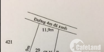 Bán 449m2 đất vườn xã Thạnh Lợi, đường đá xanh 4m cách QL N2 900m