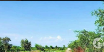 Bán 1.000m2 đất wie kinh thoáng mát, cách 816 chỉ 700m