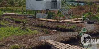 Bán đất 1010 m2 tại Bến Lức Long An cần bán gấp