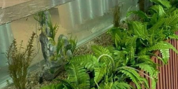 CẦN BÁN NHÀ 1 MÊ HẺM 181 QUANG TRUNG - PHƯỜNG TÂN TIẾN