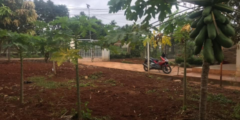 BÁN CẢ NHÀ CẢ ĐẤT TRỤC ĐƯỜNG CHÍNH 27B HOÀ THUẬN ĐẠT LÝ