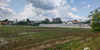 Bán 5.200m2 đất lúa, cho lên full thổ cư/mặt tiền Tỉnh lộ 830 - Long Sơn. Giá 3t