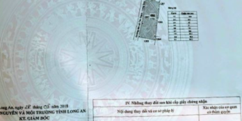 Bán 1.111m2 thổ cư, đường nhựa liên xã, ngang 52m, tại Tân Trạch + Cần Đước. Giá