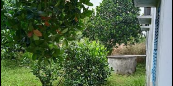 Nhà vườn Phước Vân Cần Đước cách chợ Phước Vân 1,2km