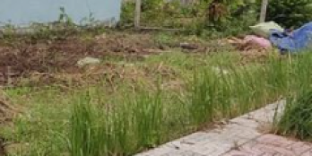 Đất thổ cư sổ hồng riêng gần UBND xã Long Cang