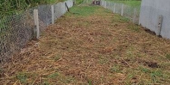 Cần bán MT Trần Văn Thôi, Mỹ Lộc, 146m2 Thổ cư