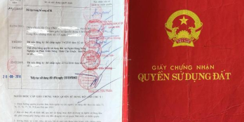 Chủ đất cần bán 2511m2 đất nông nghiệp tại Long Hậu, Cần Giuộc