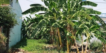 Kẹt tiền bán gấp đất nền Long Hậu 5x20m, trục chính 24m, chính chủ