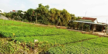 Đất vườn nghĩ dưỡng 1000 m2 ( 21x 48m) mỹ lộc, cần giuộc - Cần bán gấp