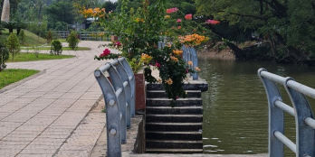 BÁN ĐẤT MẶT TIỀN ĐƯỜNG NHỰA LỘ HÒA ĐÔNG, XÃ HÒA AN, TP. CAO LÃNH