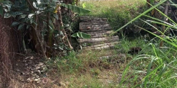 Cần ra gấp miếng đất 1538m² tại Chợ Gạo