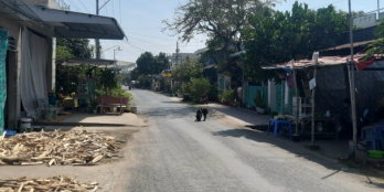 Bán nhà view sông xã Mỹ Hội Đông, Chợ Mới, An Giang.