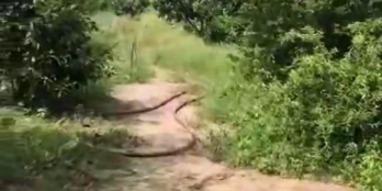 VĨNH THANH - NHƠN TRẠCH - ĐN Giá công khai: 3,1tỷ/2000m2