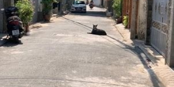 Hẻm Xe Hơi Nhất Chi Mai ,Phường 13 ,Tân Bình