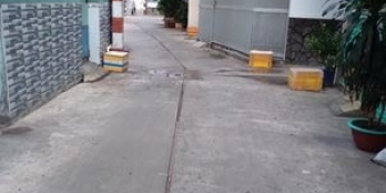 HXH Trần Văn Quang, Phường 10 ,Tân Bình