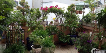 Bán nhà Mặt Tiền Đường T8 Tây Thạnh Tân Phú