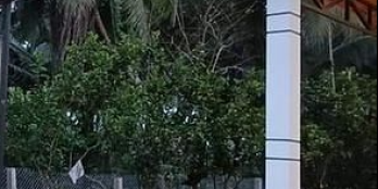 Biệt Thự Vườn Nhơn Thạnh TP Bến Tre 420m2.