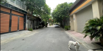 Bán nhà 4tầng đường Phong Đình Cảng